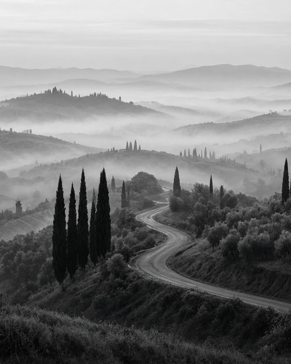 A winding country road and cypress trees through misty layered hills at dawn